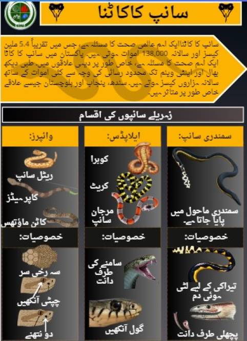 Snake Bite Guidelines in Urdu